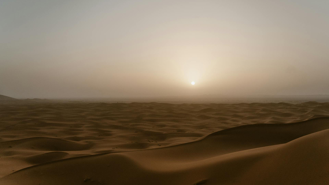 Buscar en el desierto de la vida el amor de Dios